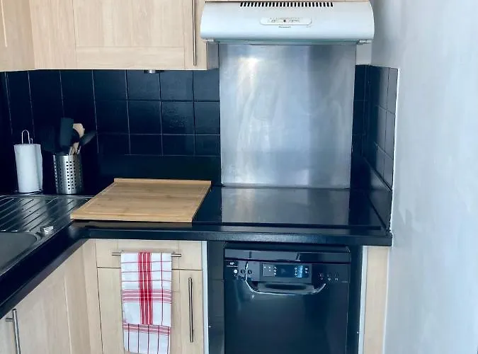 Charming 1 Bedroom Flat, Center With Pool And Car Park דירה ביאריץ